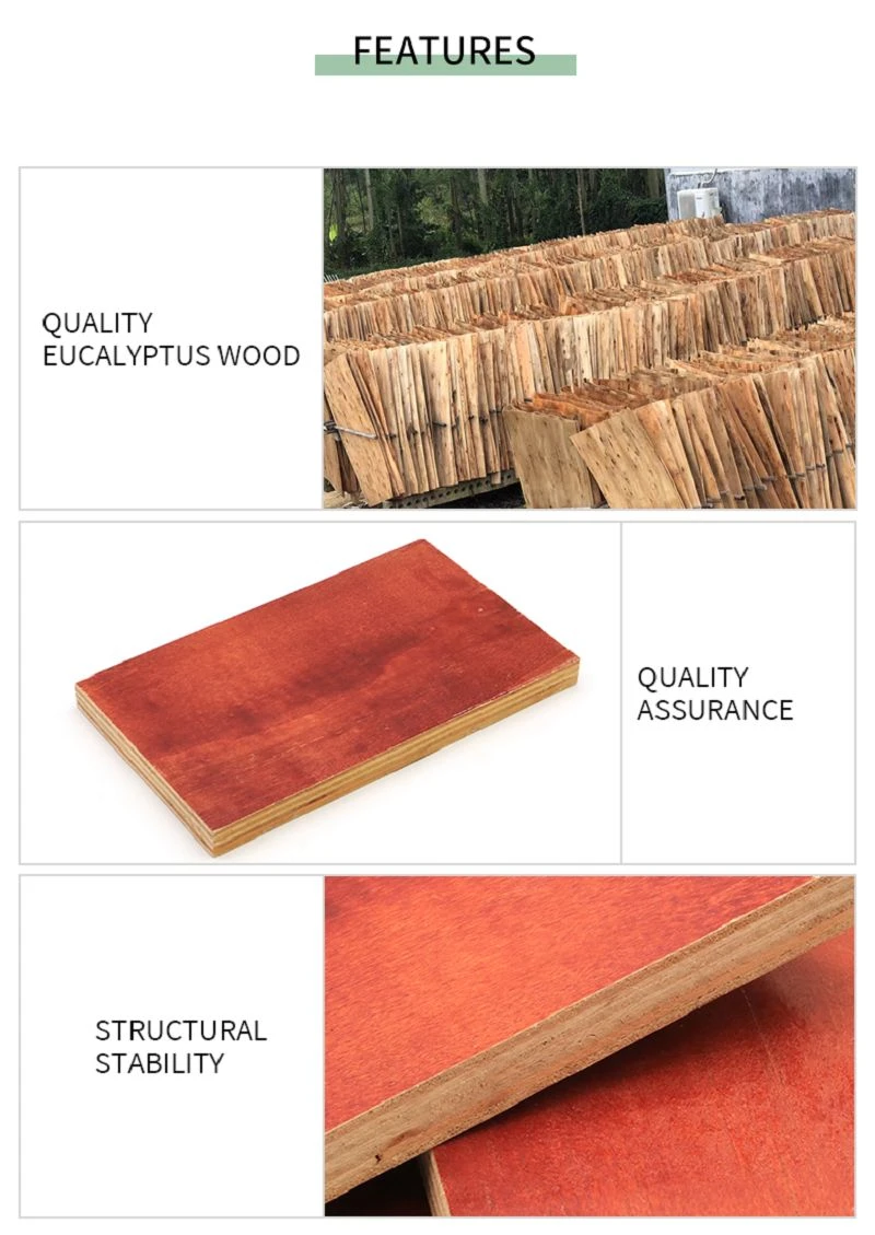 product-800-1129